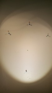 VDarts H2 Wall Screw Pattern